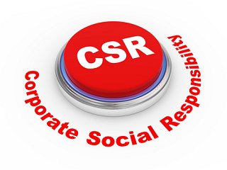 Five Best Practices for a Corporate Sustainability Report (CSR)