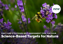 Pure Strategies Launches Self-Assessment Tool to Help Companies Set Science Based Targets for Nature