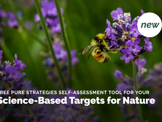 Pure Strategies Launches Self-Assessment Tool to Help Companies Set Science Based Targets for Nature