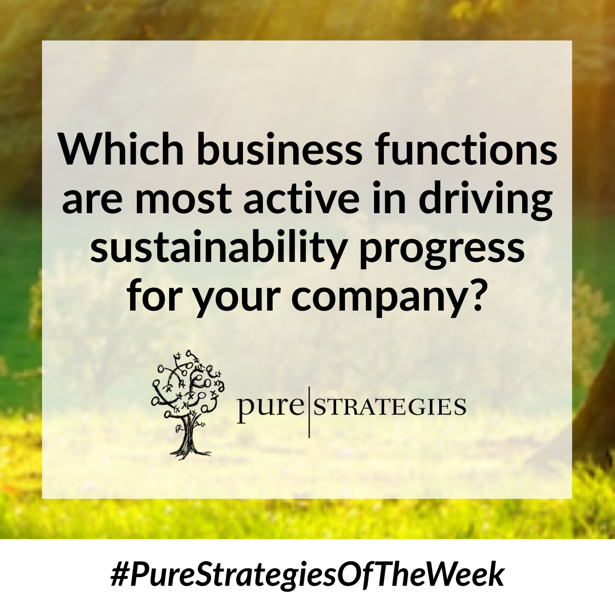 Check Out Pure Strategies of the Week!