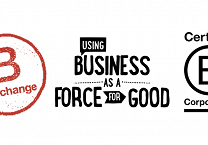 Pure Strategies 2023 Report on the B Corp Re-certification Progress