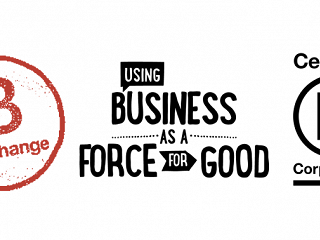 Pure Strategies 2023 Report on the B Corp Re-certification Progress