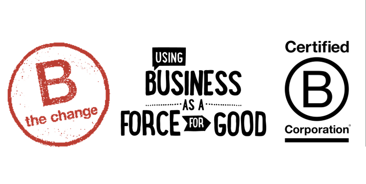 Pure Strategies 2023 Report on the B Corp Re-certification Progress