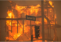 Court Halts California's SB 261 Climate Law