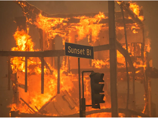 Court Halts California's SB 261 Climate Law