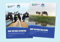 Advancing Emissions Transparency: New Guidance Supports Dairy Sector Progress on Driving Down Methane