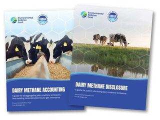 Advancing Emissions Transparency: New Guidance Supports Dairy Sector Progress on Driving Down Methane