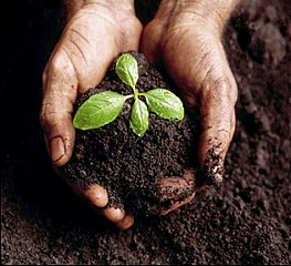 Carbon farming creates healthy soils to help reverse climate change