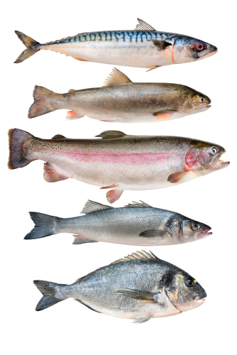 Sustainable Seafood: One Fish, Two Fish, Red Fish, Green Fish :: Pure