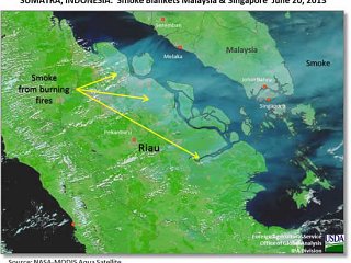 Sustainable Palm Oil:  Still a Challenging Quest