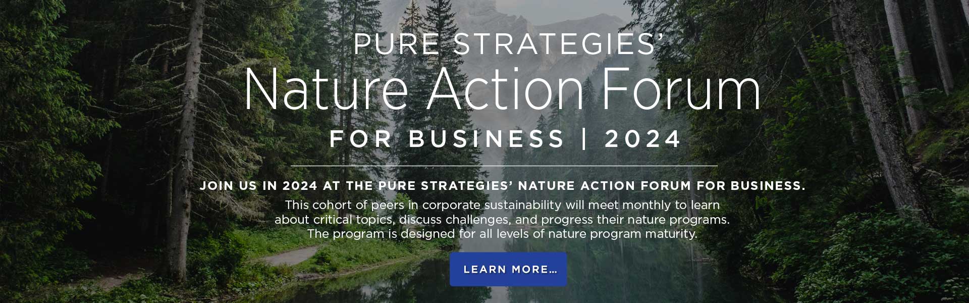 Sustainability Strategies and Solutions for the Future :: Pure Strategies