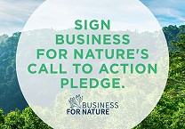 Taking action to be net-zero and nature-positive