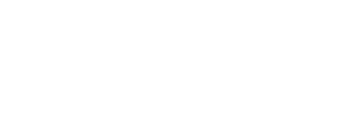Pure Strategies Sustainability Consulting