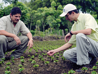 How Starbucks and Green Mountain serve up shared value