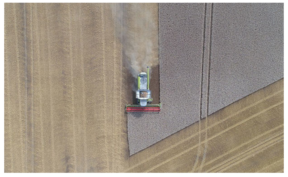It’s Time for Companies to Get Dirty and Help Build Regenerative Agricultural Supply Chains