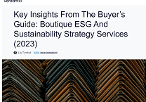 Verdantix Publishes ESG and Sustainability Strategy Services Buyer's Guide