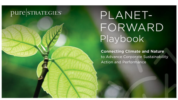 Advancing nature strategies with a planet-forward approach