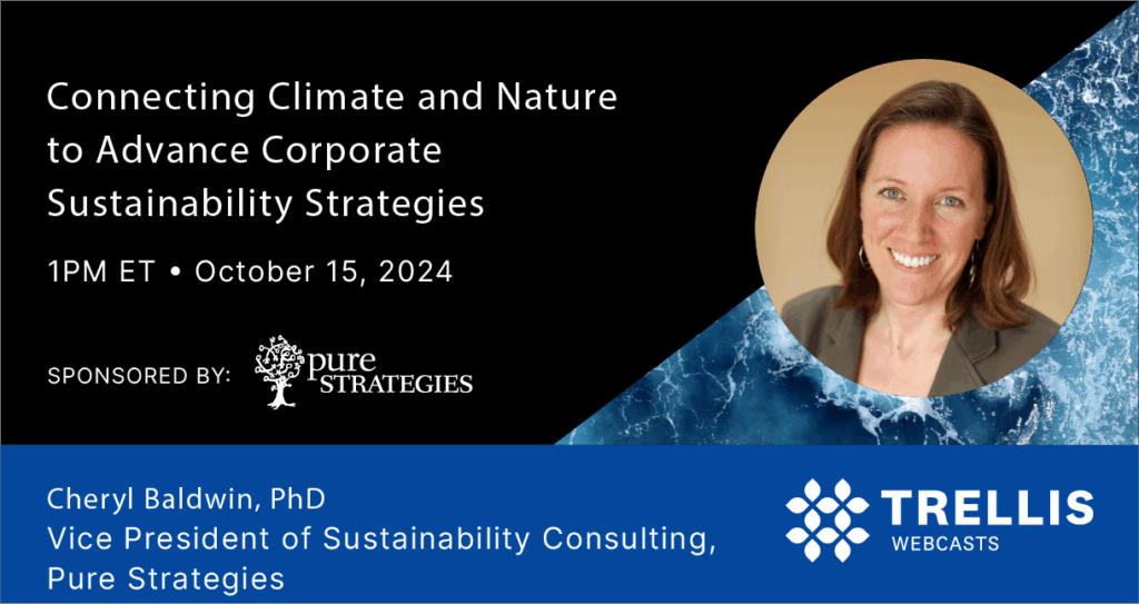 Connecting Climate and Nature To Advance Corporate Sustainability Strategies