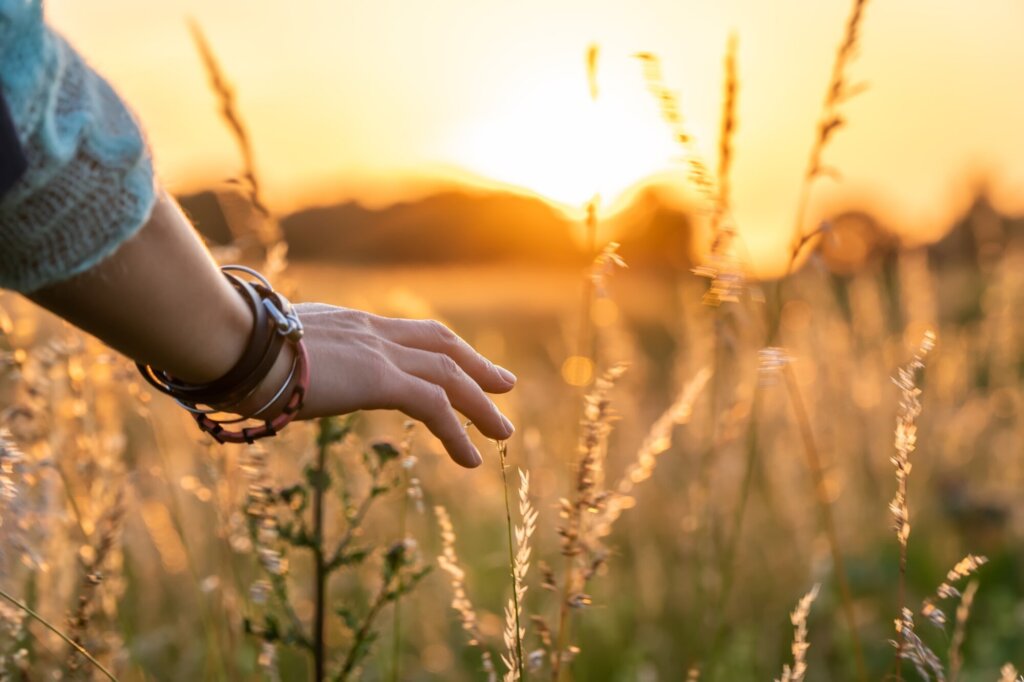 Woman’s hand reaching out in sunlit fields