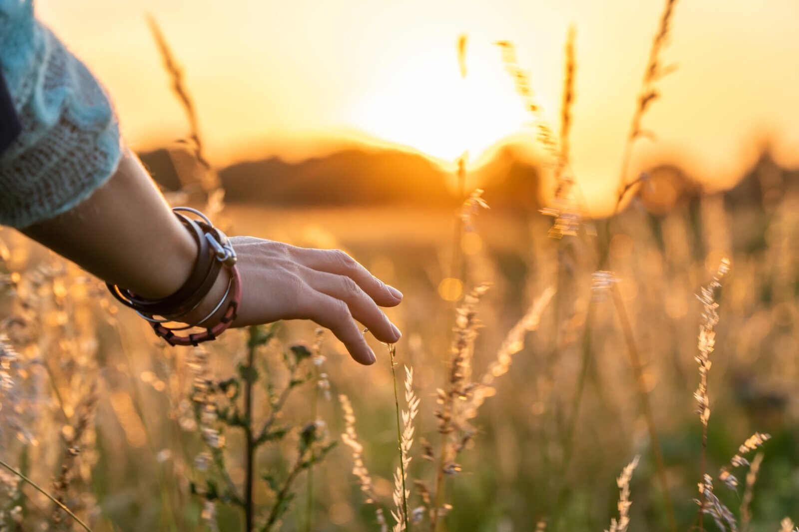 Woman’s hand reaching out in sunlit fields
