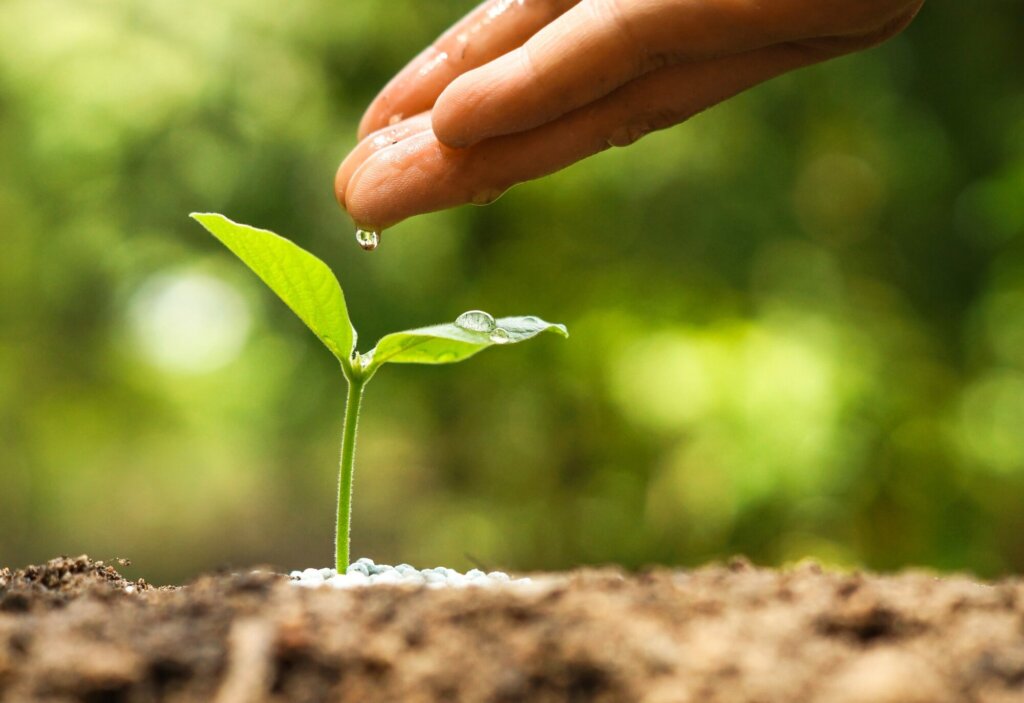 Green leaves with hand and water droplet