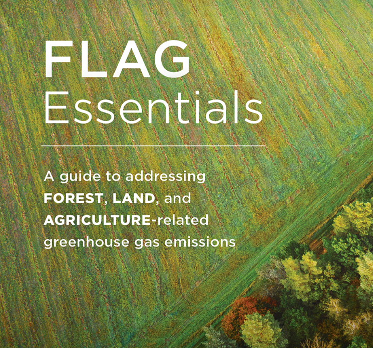 FLAG Essentials: A guide to addressing Forest, Land, and Agriculture-related greenhouse gas emissions